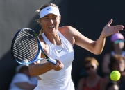 HUPU-莎拉波娃迎来十赛季高光表现，掘金球迷沸腾！的简单介绍